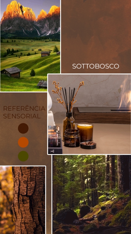 FRAGRÂNCIA SOTTOBOSCO